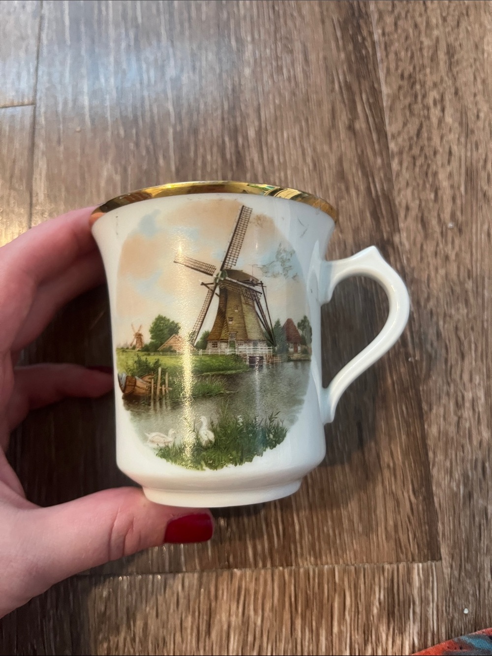 Vintage Royal Schwabap 1984 Porcelain Windmill Mug with Gold Rim